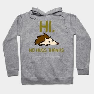 Hi, No Hugs Thanks Hoodie